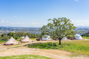 グランピング運営スタッフ｜カフェスタッフ